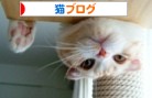 �ˤۤ�֥���¼��ǭ�֥�����