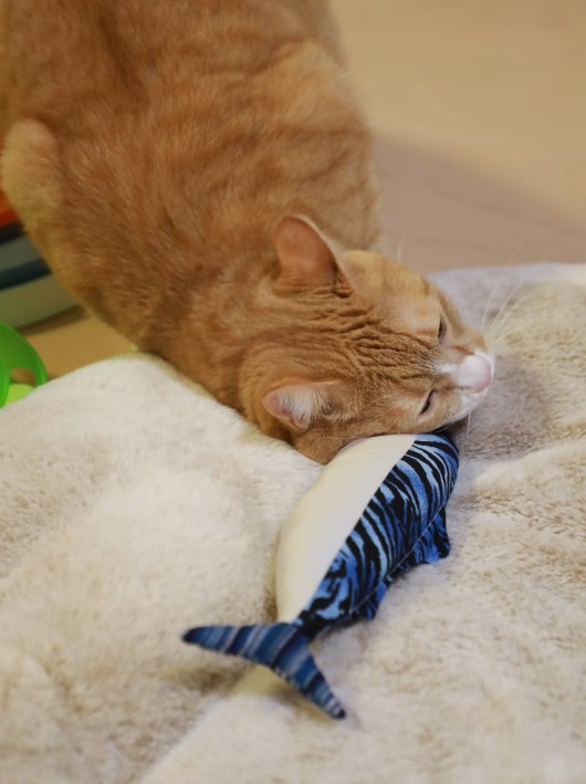 ¤¹¤ê¡Á¤ó¡£ ¤¹¤ê¡Á¤ó¡£