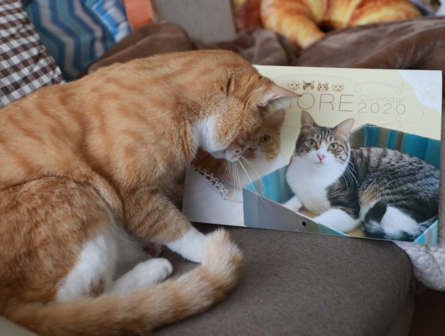 �����󤽤ä��ꡪ