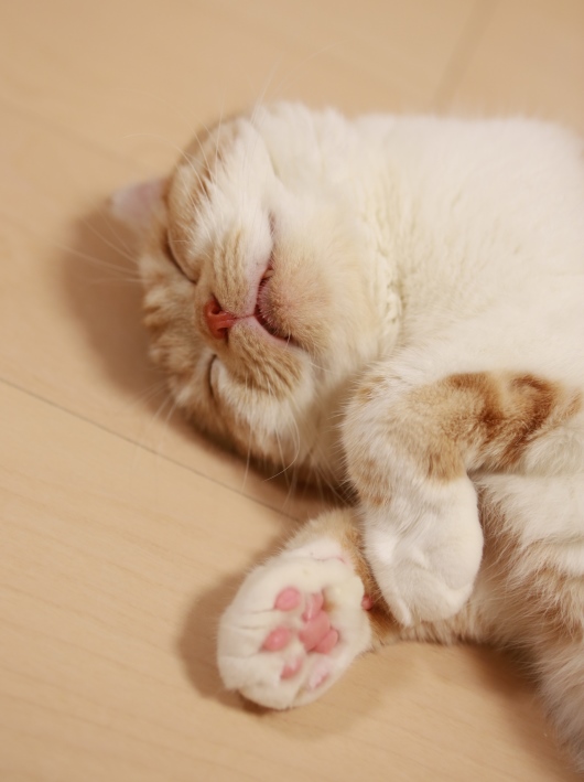 ��ʢ���䤹�䤢�ä���