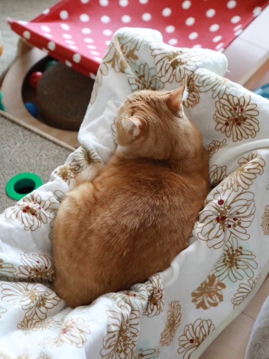 ¤ß¤Ã¤Á¤ê¡£ ¤ß¤Ã¤Á¤ê¡£