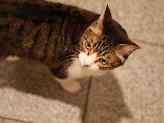 ��ĥ��������