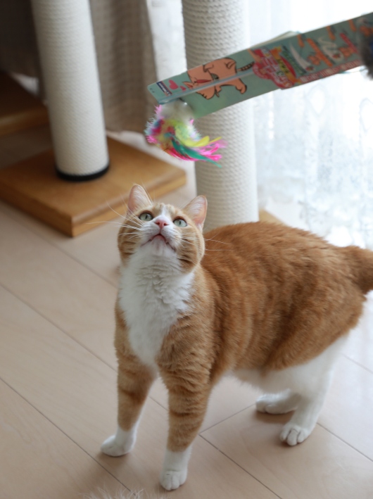 ¤ï¤¡¢ö ¤ï¤¡¢ö