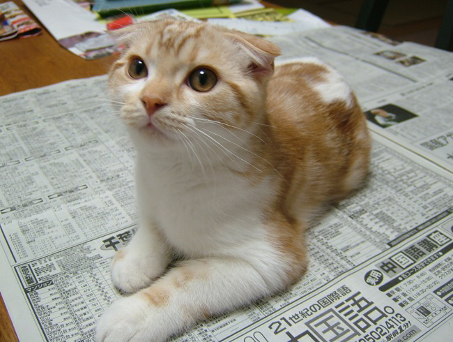 �ɤ󤸤���᡼��