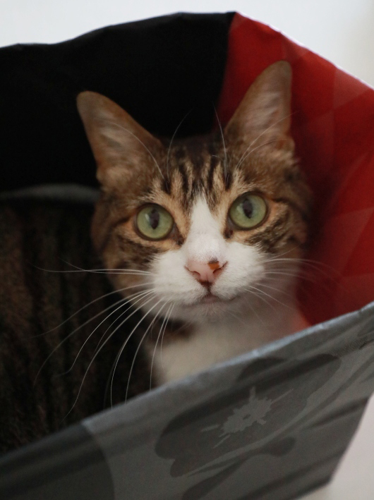 �ߤä��ꡣ