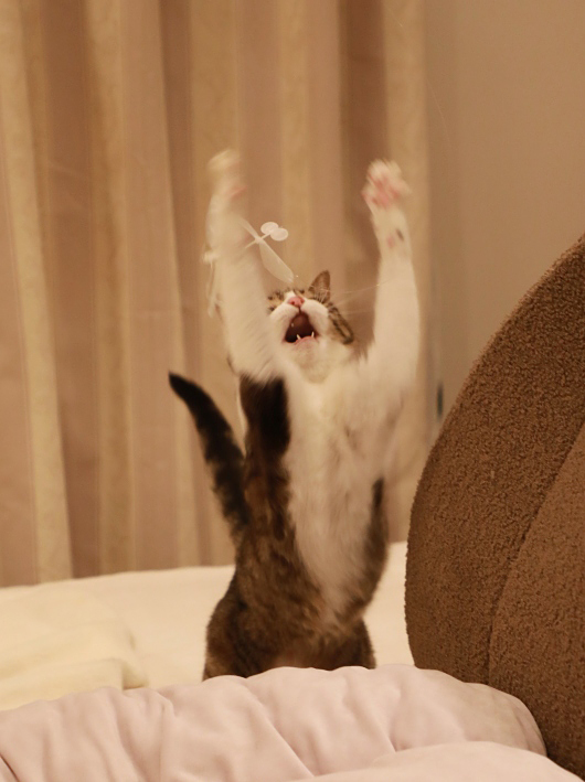 ¤à¤¡¼¤Ã¡£ ¤à¤¡¼¤Ã¡£