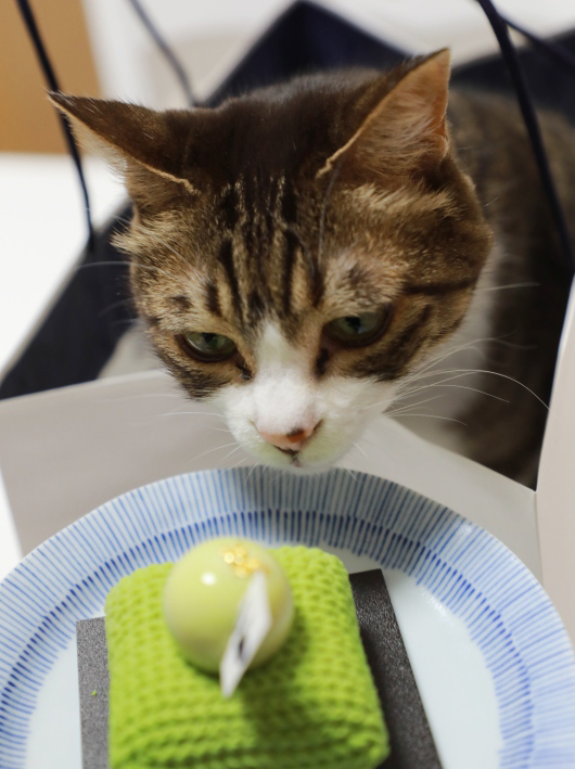 ¥Ü¡¼¥ë¡© ¥Ü¡¼¥ë¡©