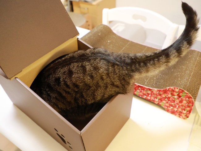 ¤¹¤ë¤ê¡£ ¤¹¤ë¤ê¡£