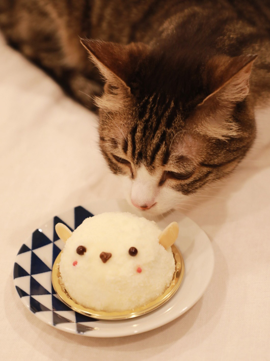 ���󤹤󤹤�