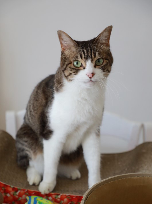 ���Ť�����