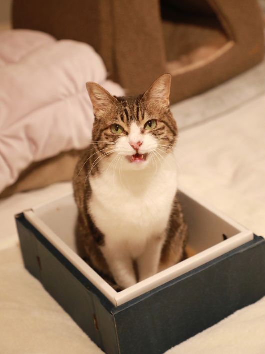 �ޤ�����