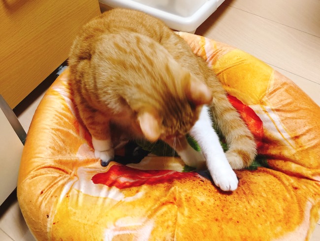 �뤫�ä�����