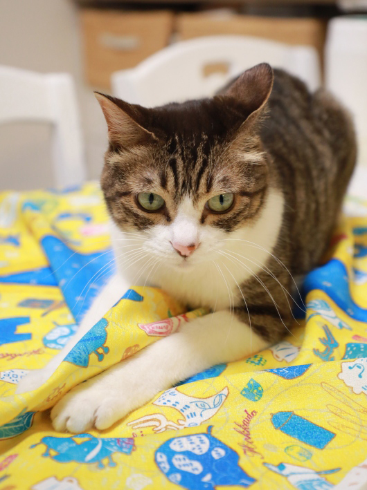 É÷ϤÉßÁÀ¤Ã¤Æ¤ë¡© É÷ϤÉßÁÀ¤Ã¤Æ¤ë¡©