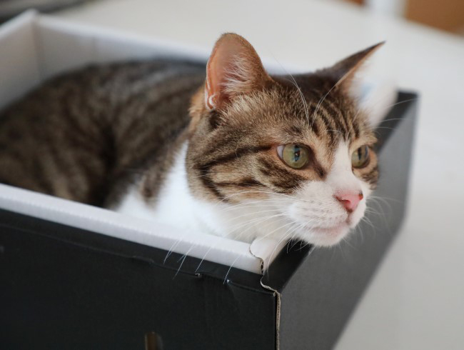 ¤Á¤ç¤Ã¤È´¨¤¤¡Á¡£ ¤Á¤ç¤Ã¤È´¨¤¤¡Á¡£