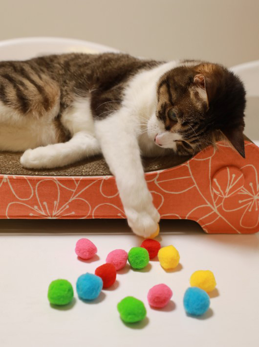 �����á�