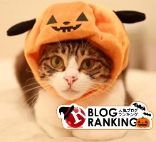 ����å��ǥߥߥ��졣����ɼ