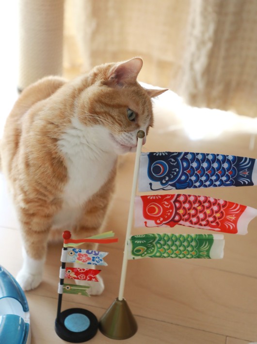 ���󤹤󤹤�