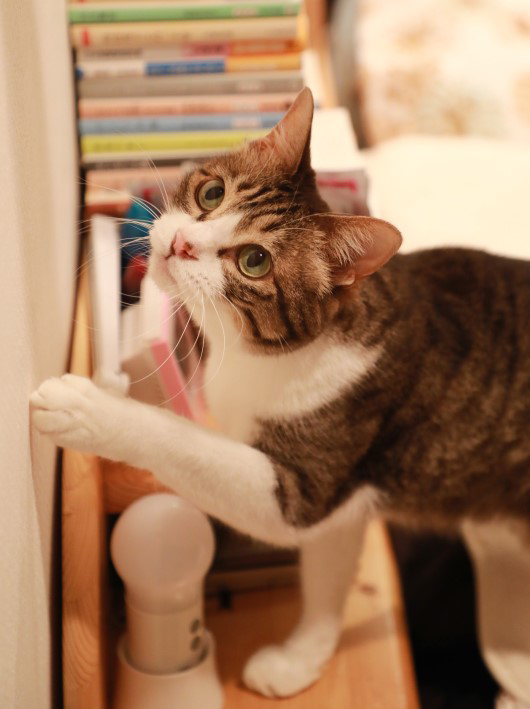 ¤½¤ì¤Ç¤¤¤¤¤è¡£ ¤½¤ì¤Ç¤¤¤¤¤è¡£