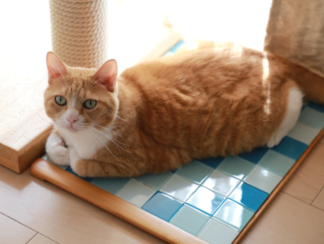 �Ҥ����档