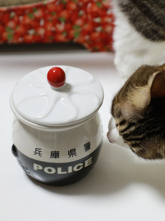 ¤Õ¤¦¤ó¡£ ¤Õ¤¦¤ó¡£