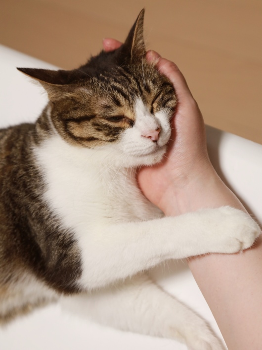 ¤â¤¦¿²¤è¤¦¤è¡¼¡£ ¤â¤¦¿²¤è¤¦¤è¡£