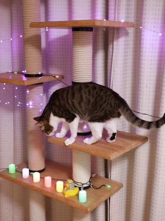 ¥Ô¥«¥Ô¥«¤·¤Æ¤ë¢ö ¥Ô¥«¥Ô¥«¤·¤Æ¤ë¢ö