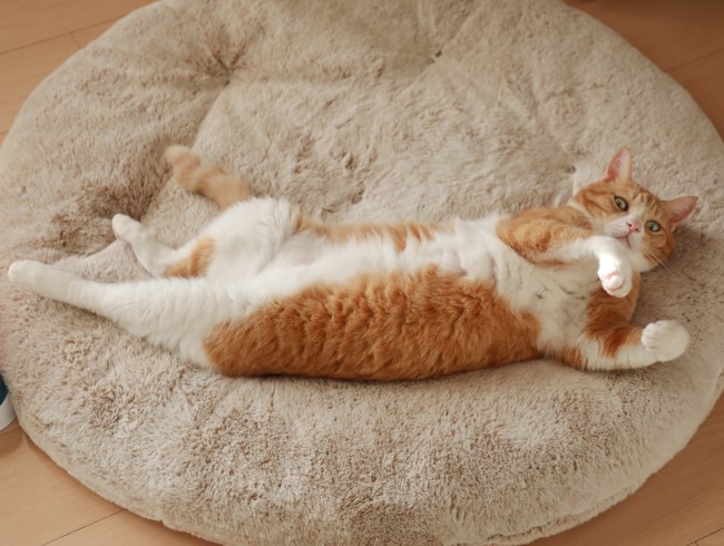 ¤½¤ì¤Ê¤¢¤Ë¡© ¤½¤ì¤Ê¤¢¤Ë¡©