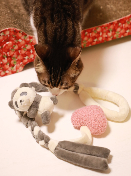 ¤Õ¤¦¤ó¡£ ¤Õ¤¦¤ó¡£