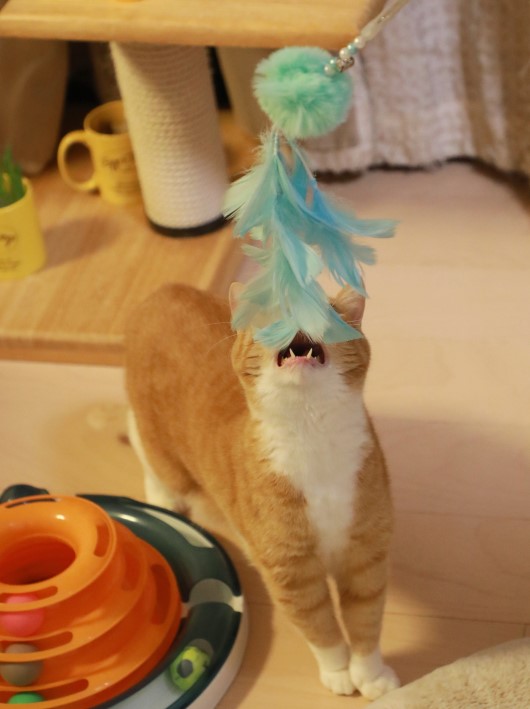 �դ�դ����