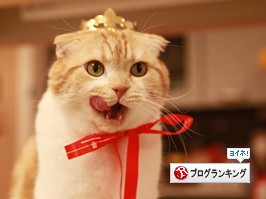 ¥¯¥ê¥Ã¥¯¤Ç¥ß¥ß¥ª¥ì¡£¤ËÅêɼ ¥¯¥ê¥Ã¥¯¤Ç¥ß¥ß¥ª¥ì¡£¤ËÅêɼ