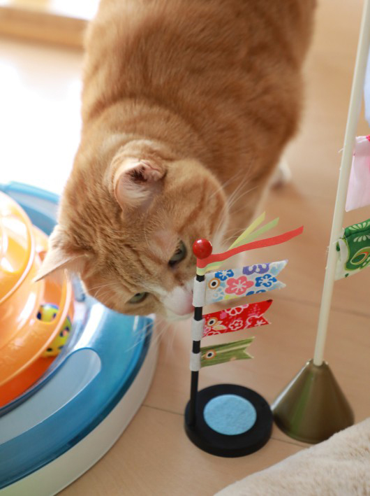 �Ҥ����֤����