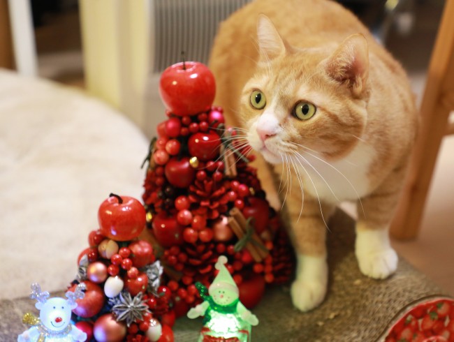 ���Ԥ�������