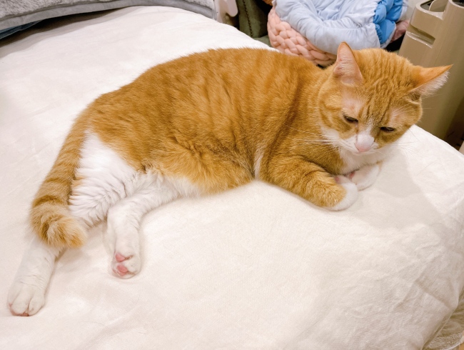 ���⤷�Ƥʤ��衼��