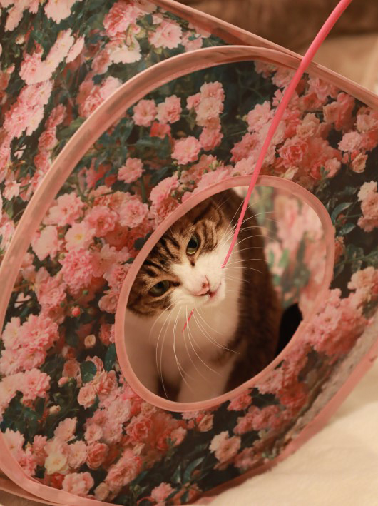 ¤ó¤°¡Á¢ö ¤ó¤°¡Á¢ö