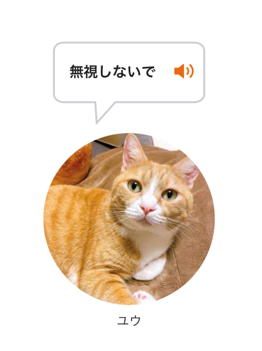 ¥Û¥ó¥È¡ª¡© ¥Û¥ó¥È¡ª¡©
