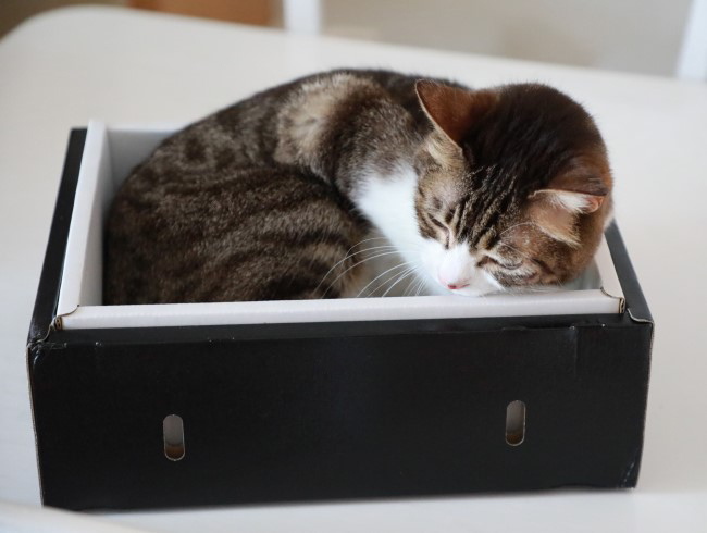 ¤ä¤Ã¤È¶õ¤¤¤¿¡£ ¤ä¤Ã¤È¶õ¤¤¤¿¡£