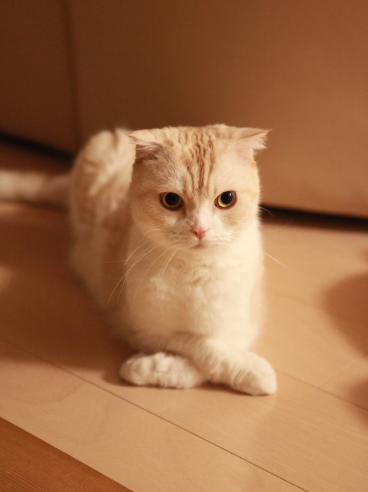 �ࡼ��