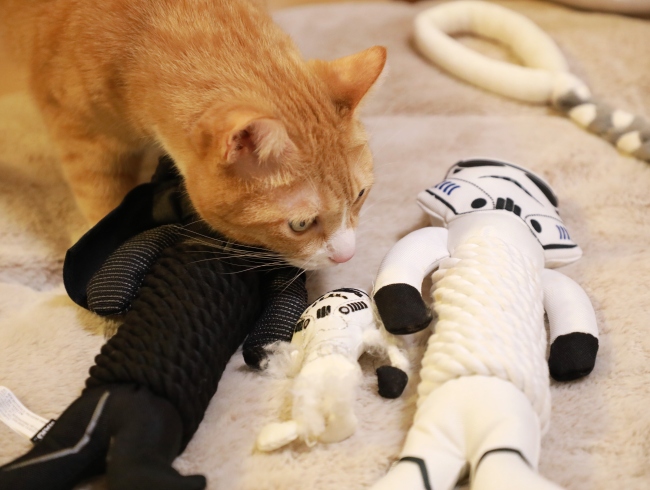 ¤¹¤ó¤¹¤ó¤¹¤ó¡£ ¤¹¤ó¤¹¤ó¤¹¤ó¡£