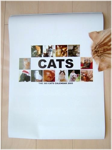 ���������ܡ�����