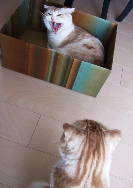 ������á�