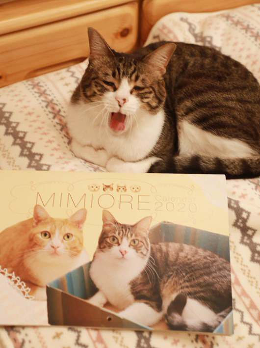 ���꤬�Ȥ��������ޡ�����