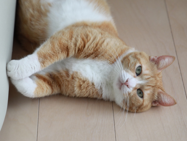 �뤫�ä�����