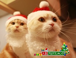 ¥¯¥ê¥Ã¥¯¤Ç¥ß¥ß¥ª¥ì¡£¤ËÅêɼ¡£ ¥¯¥ê¥Ã¥¯¤Ç¥ß¥ß¥ª¥ì¡£¤ËÅêɼ¡£