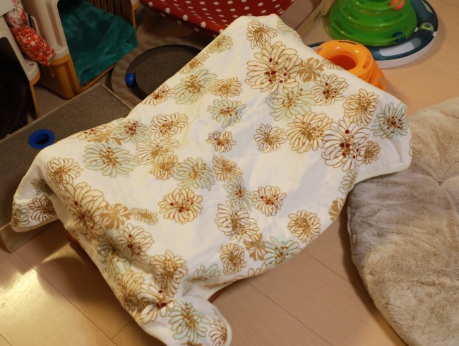 ¤¤¤Ê¤¤¡© ¤¤¤Ê¤¤¡©