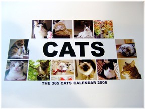 the 365 CATS ��