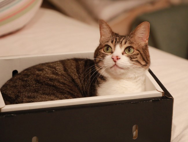 ¤Õ¤Õ¢ö ¤Õ¤Õ¢ö