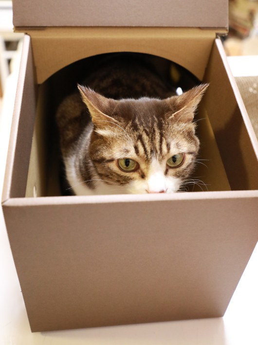 ¤¹¤ó¤¹¤ó¡£ ¤¹¤ó¤¹¤ó¡£