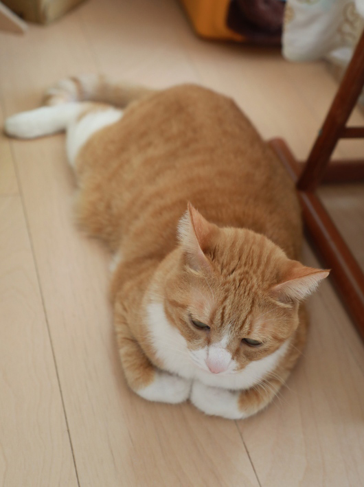 �뤫�ä���