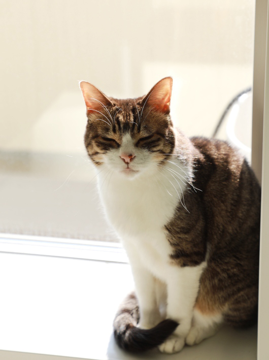 ¤Ü¤Ø¡¼¡£ ¤Ü¤Ø¡¼¡£