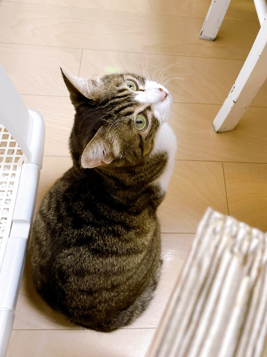 ���äƤߤ��Ρ�